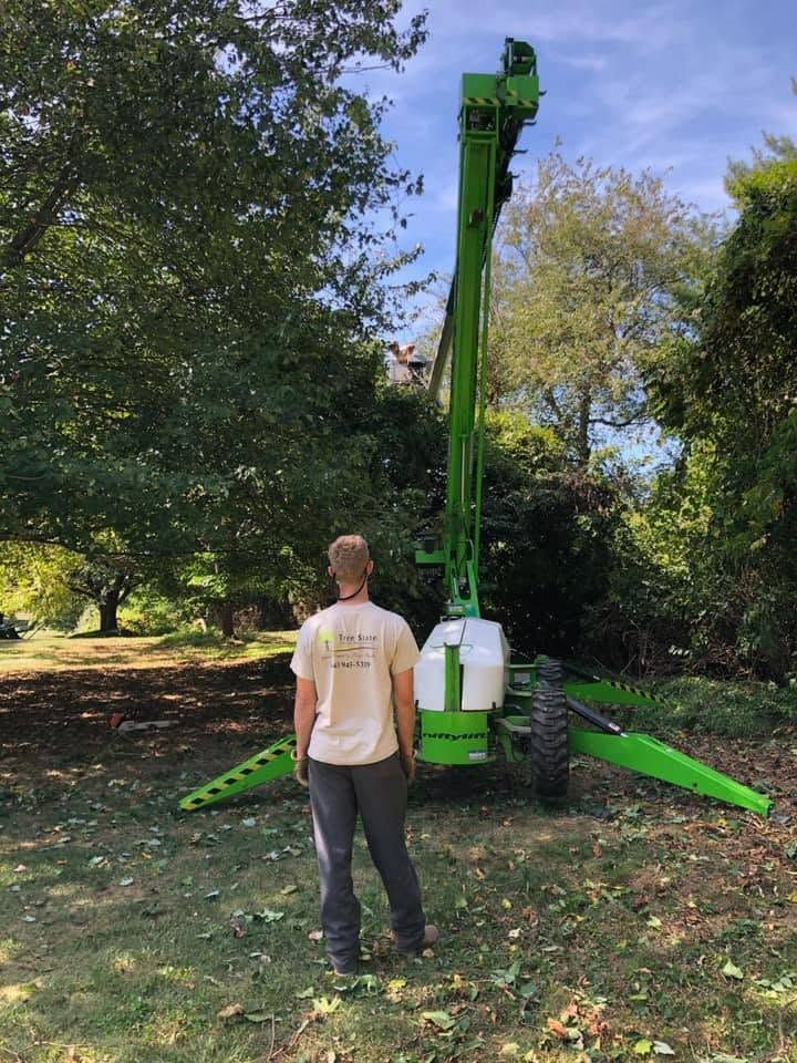 Person standing by a green tree-cutting machine in a wooded yard