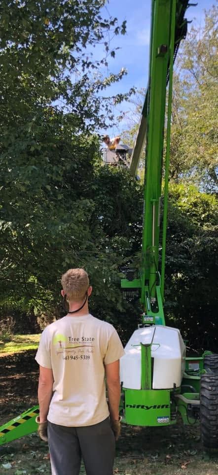 Person standing beside a green lift in a wooded outdoor area