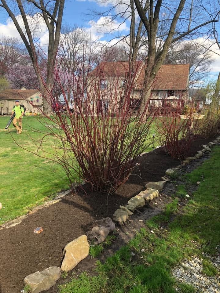 A garden bed with red shrubs and stone edging beside a lawn and house, with a person in a yellow jacket in the distance.