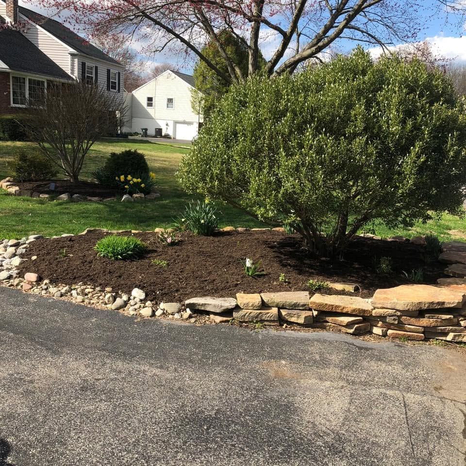 Front yard garden with shrubs and stones beside a driveway, with houses and bare trees in the background