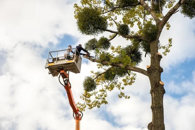 Two workers in hard hats repairing a shingled roof under a cloudy sky.