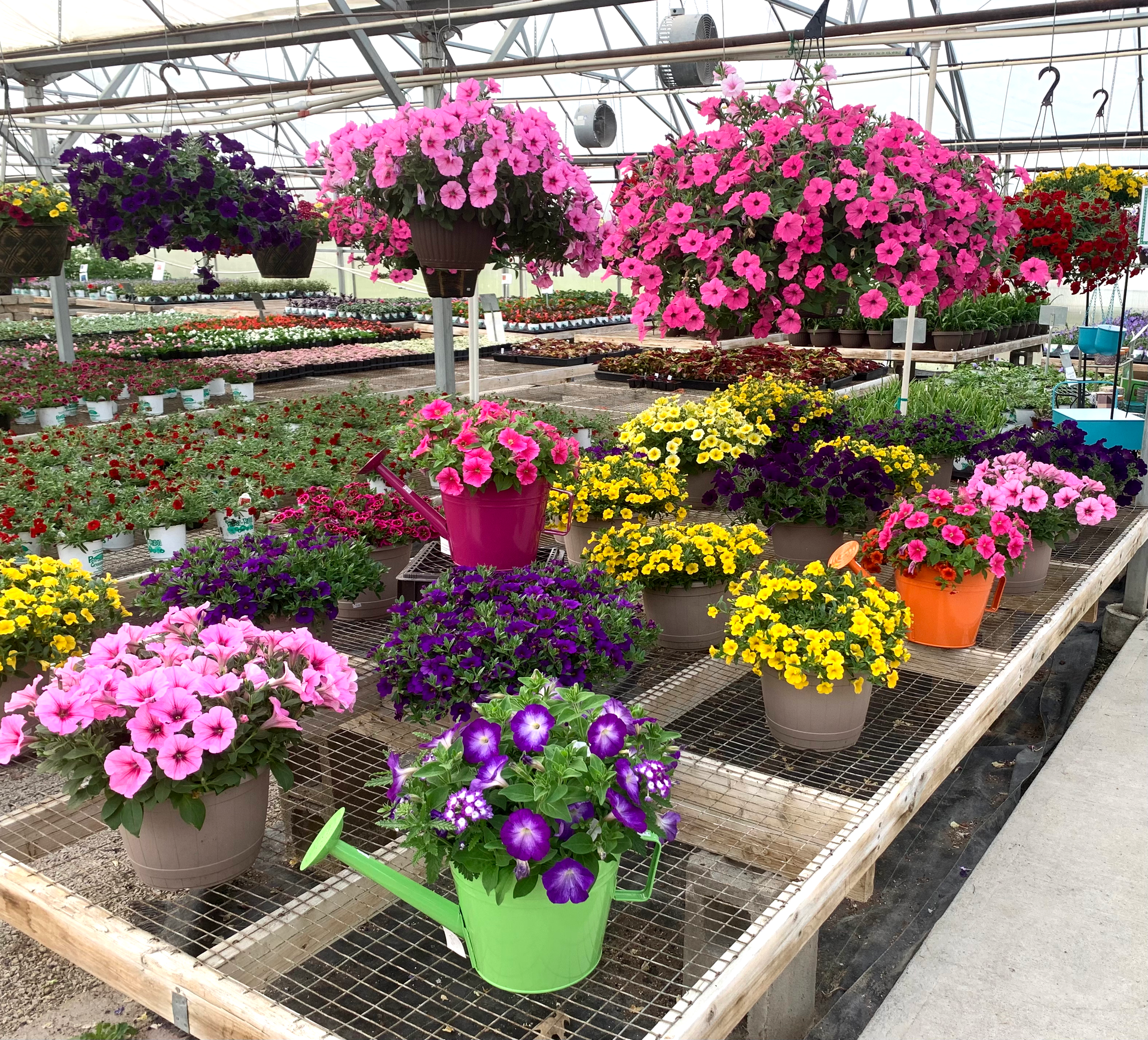 Flower baskets