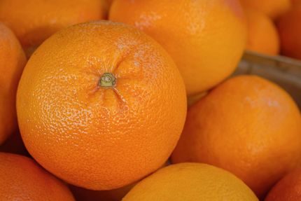 Close-up of bright oranges piled together, with one orange in sharp focus