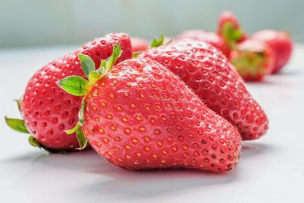 Fresh red strawberries with green leaves on a white surface