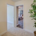 A hallway with a plant and a door leading to a bedroom.