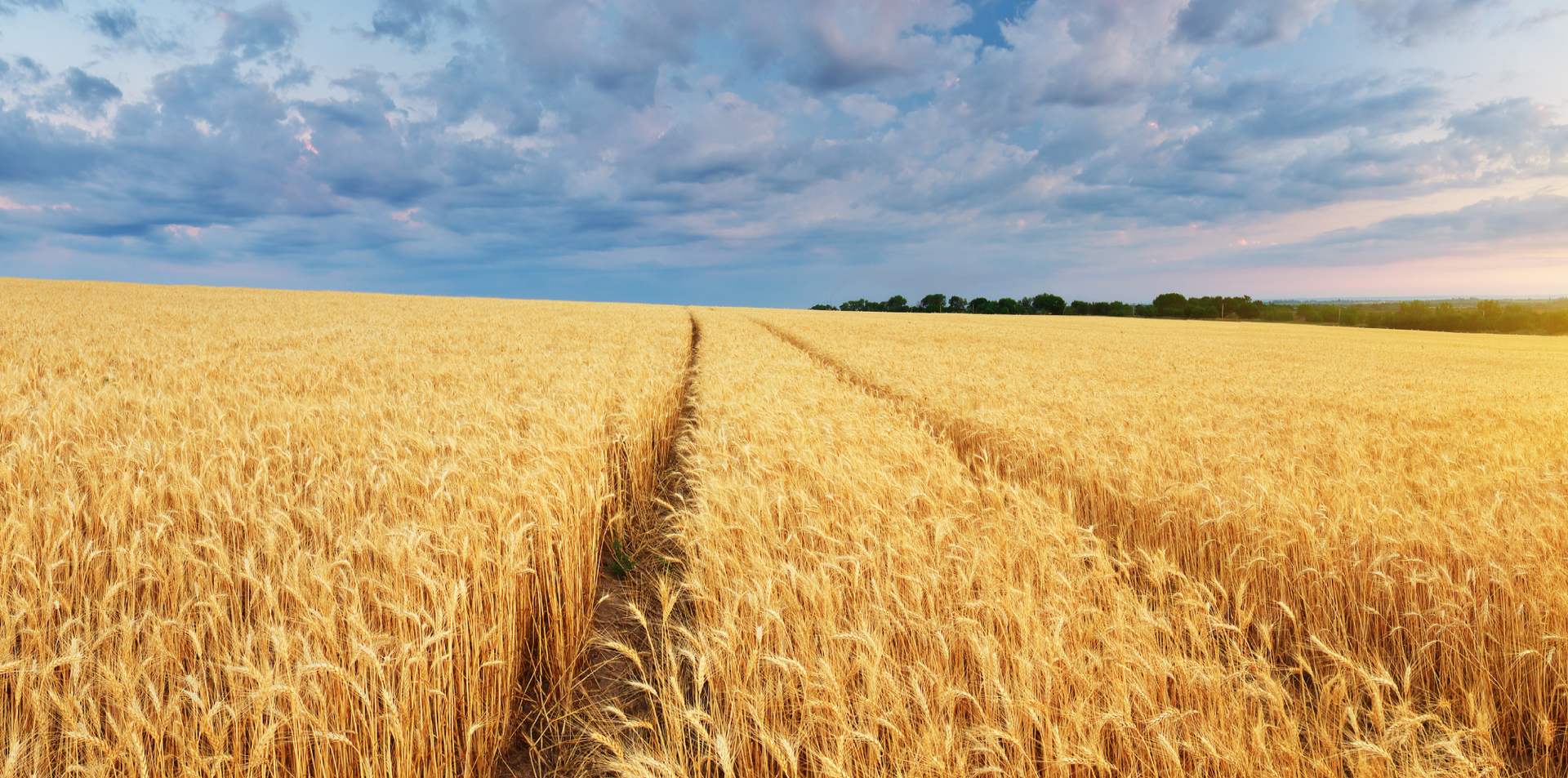 Advogados Lisboa - Agricultura e Pecuária