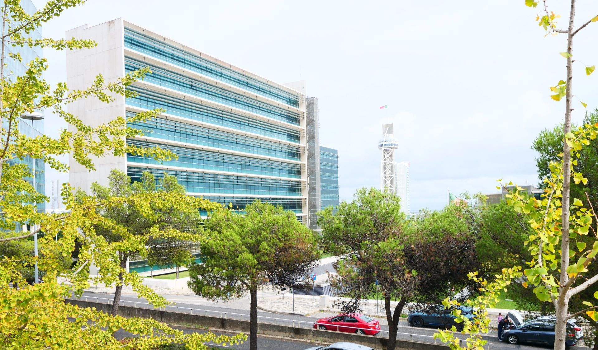 Advogados Lisboa - Direito Administrativo