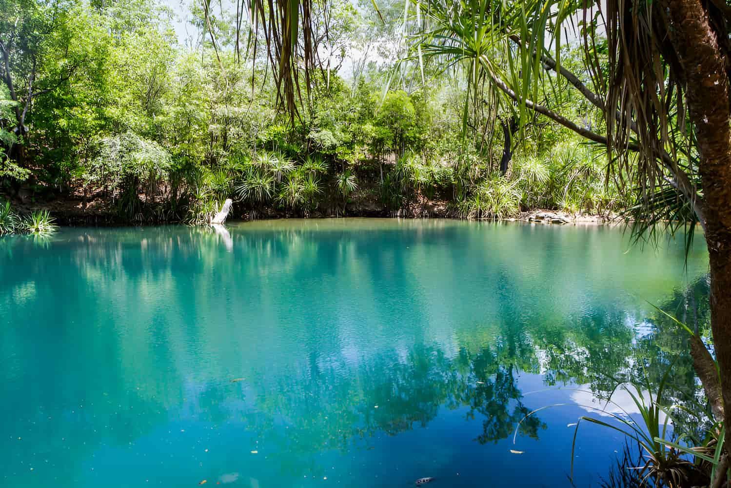 A Large Body of Water Surrounded by Trees on a Sunny Day — John Day Plumbing in Berry Springs, NT