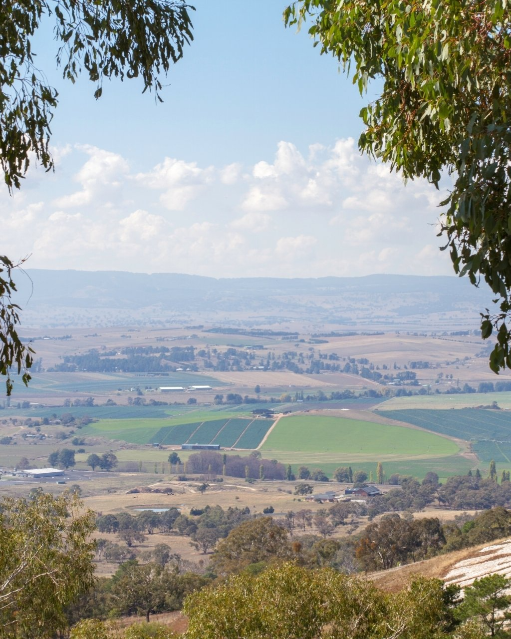The view from Mount Panorama Bathurst