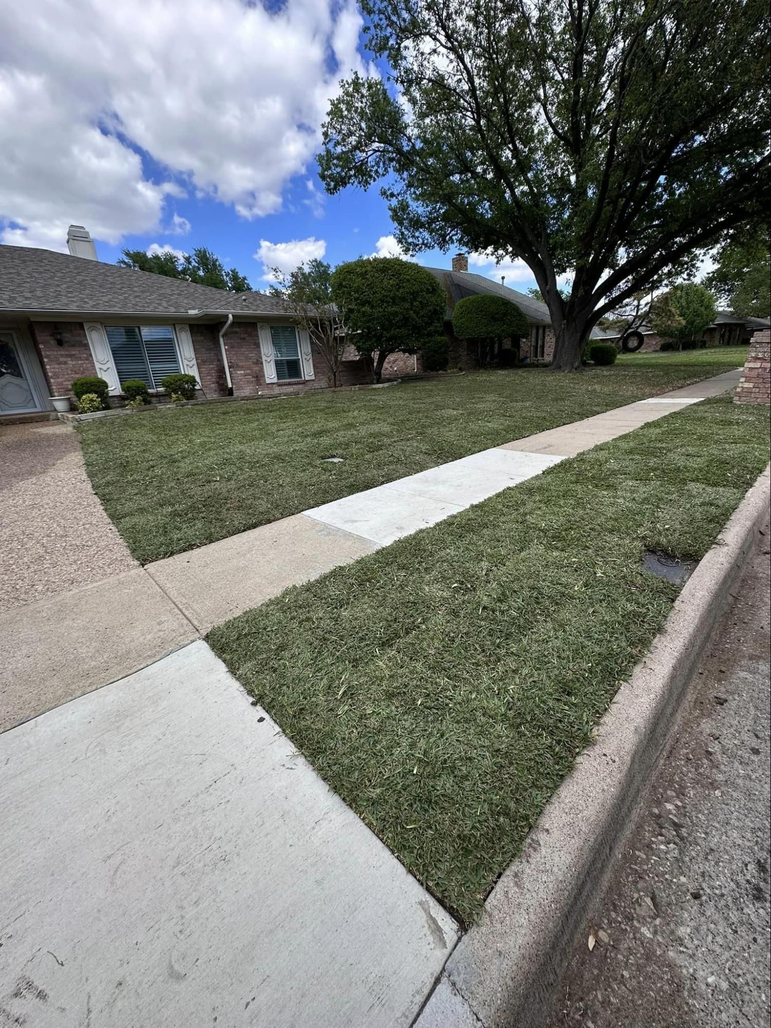 Startex Landscaping Customer Project Gallery