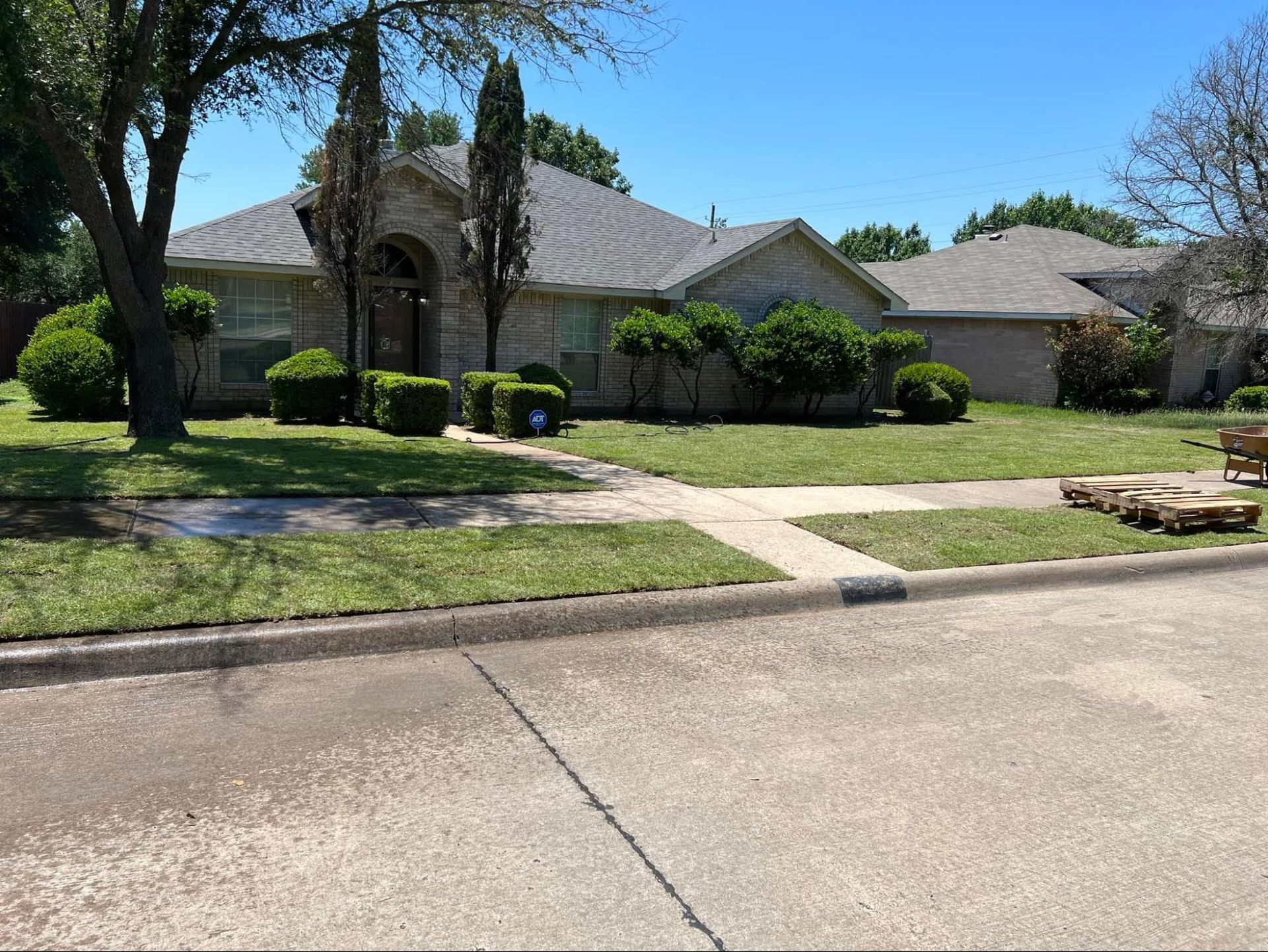 Startex Landscaping Customer Project Gallery