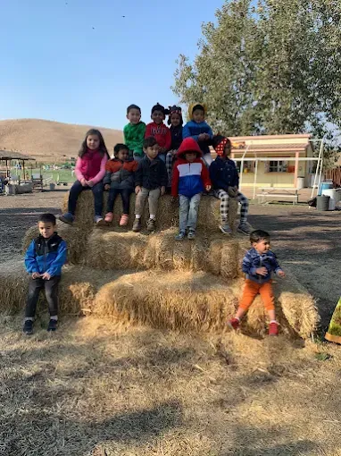 Children posing on hay bales outdoors near a playground on a sunny day