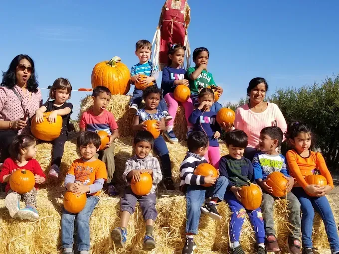 Group of children and adults posing outdoors with orange pumpkins on a sunny day