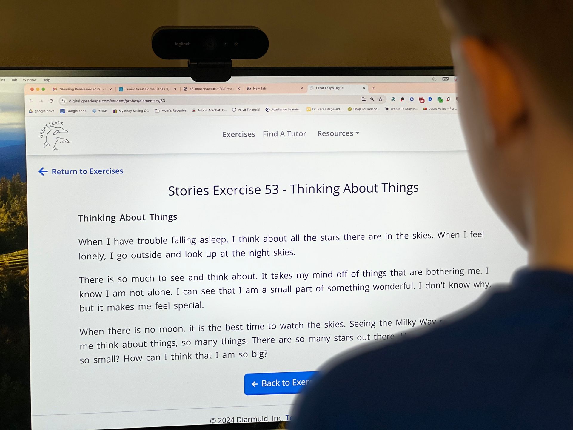 A student looking at the computer screen