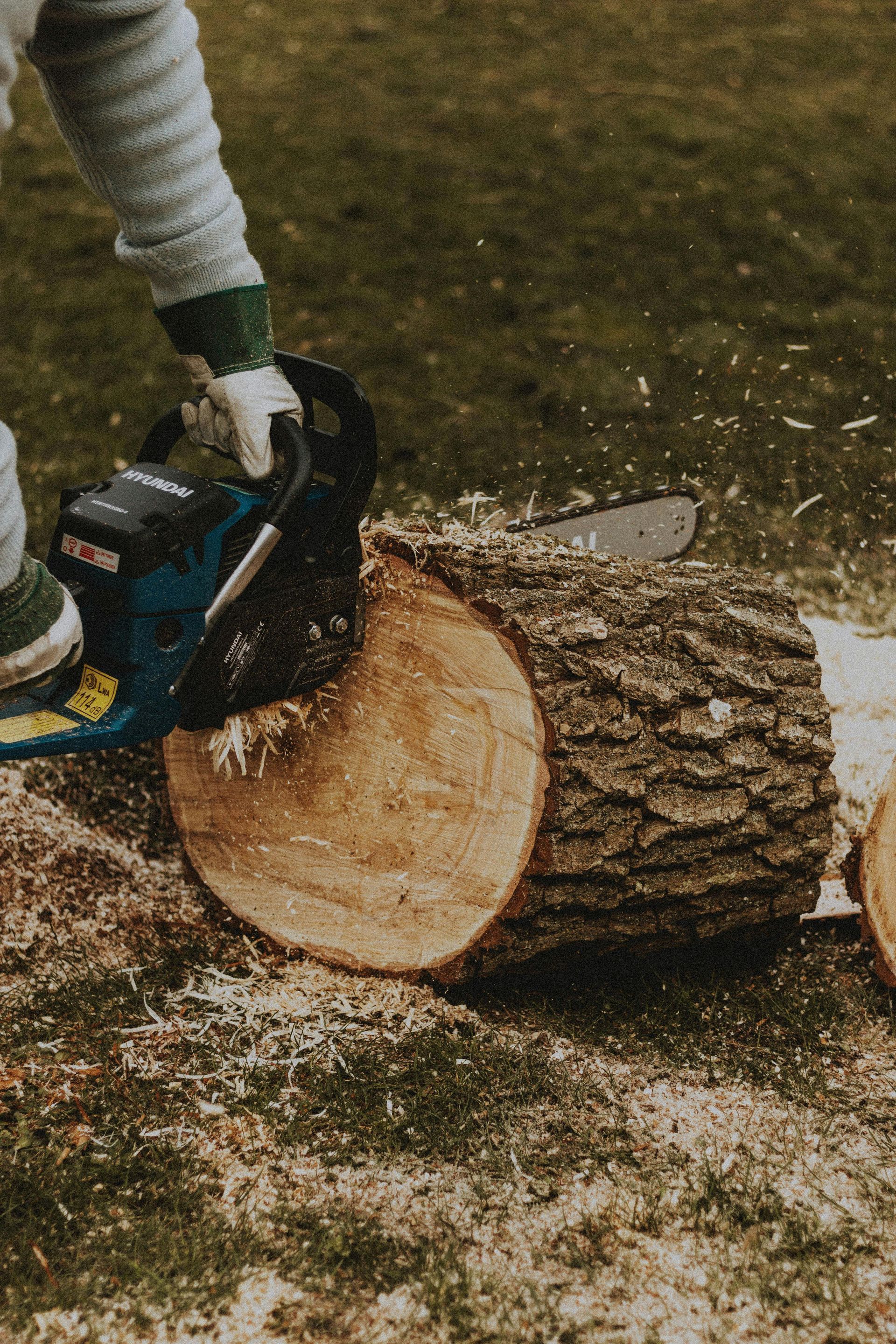 Person using a chainsaw to cut a log on grass, generating wood chips.