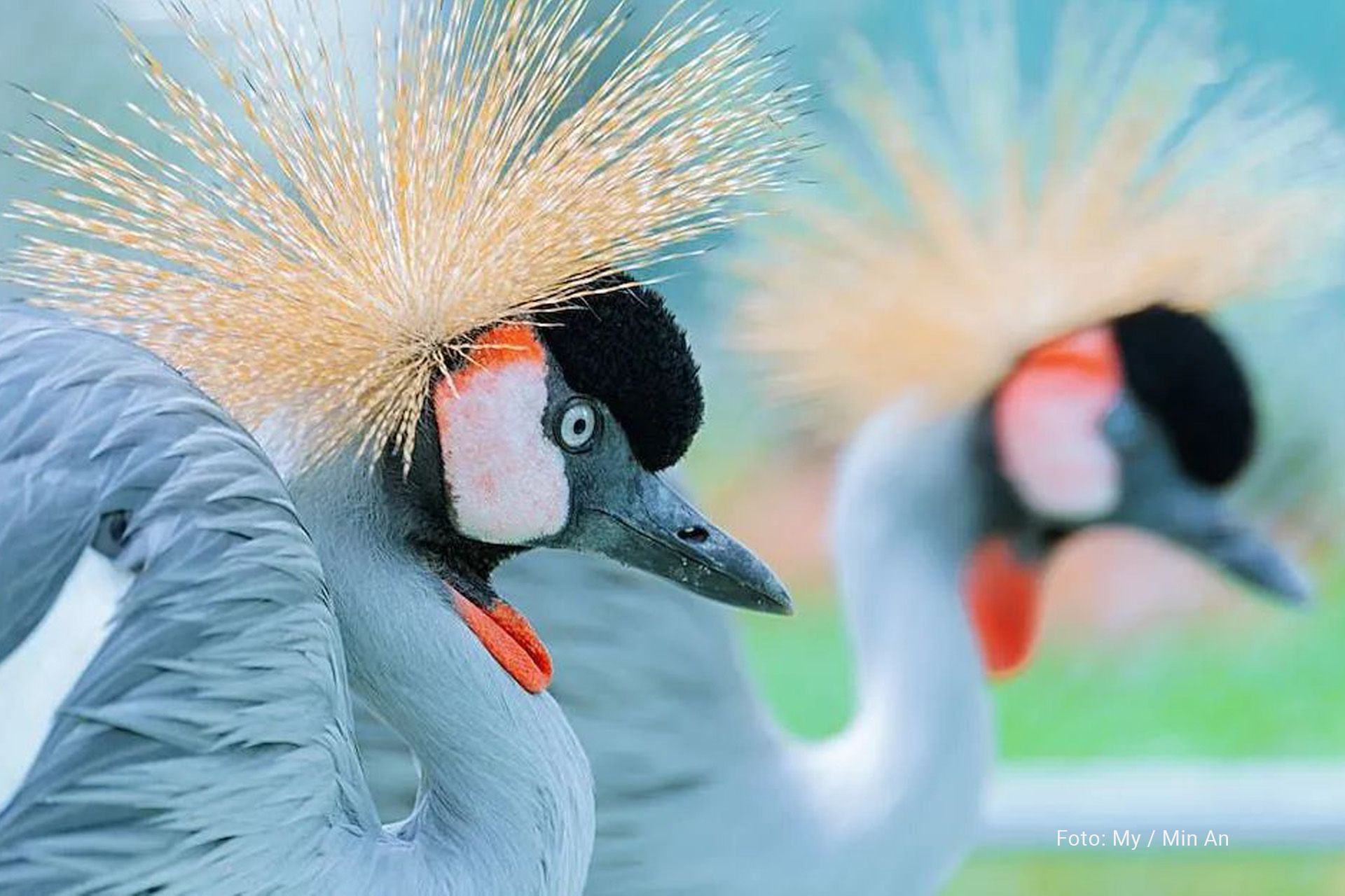 Ausflug in den Zoo Landau