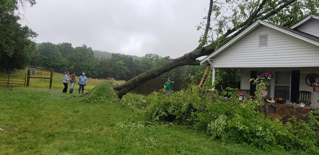 tree damage done in the river valley