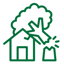 tree falling on house