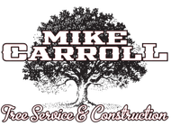 MIKE CARROLL LOGO