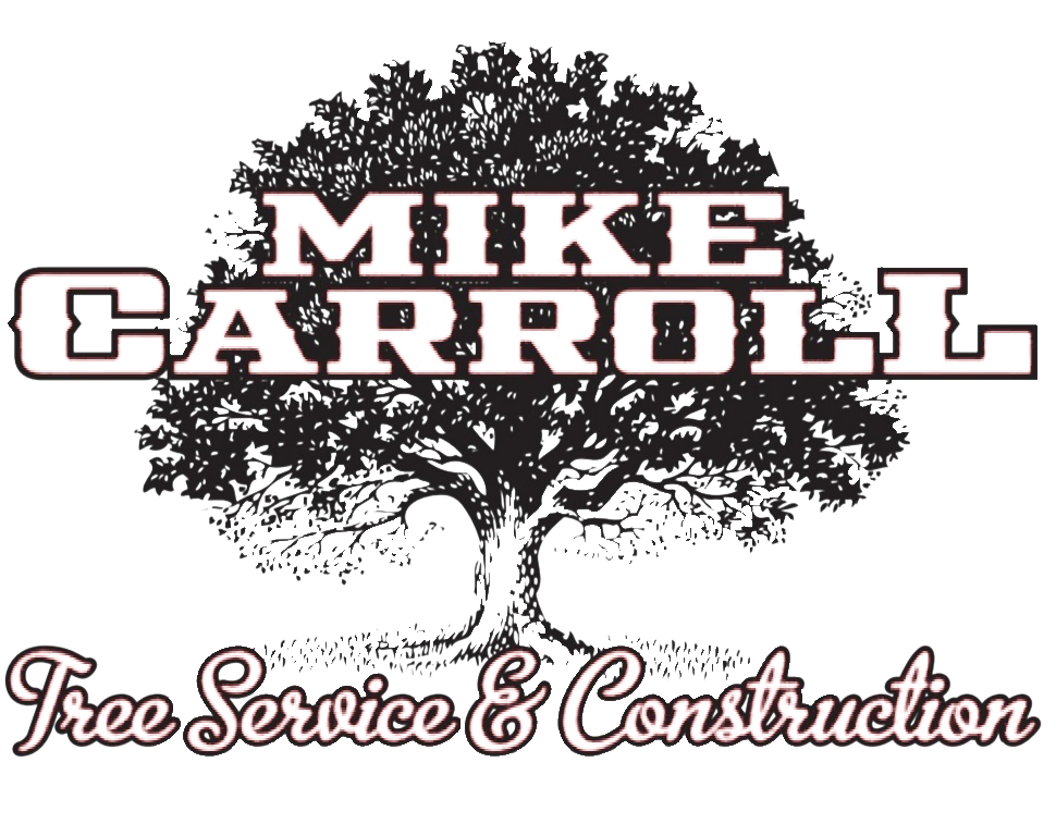 MIKE CARROLL LOGO
