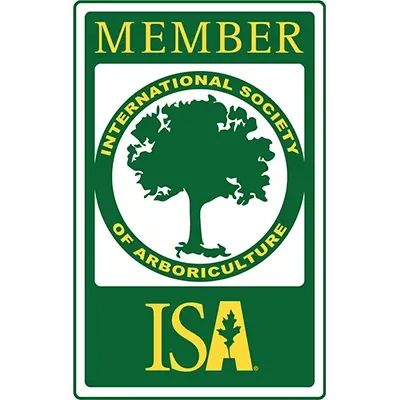 isa member
