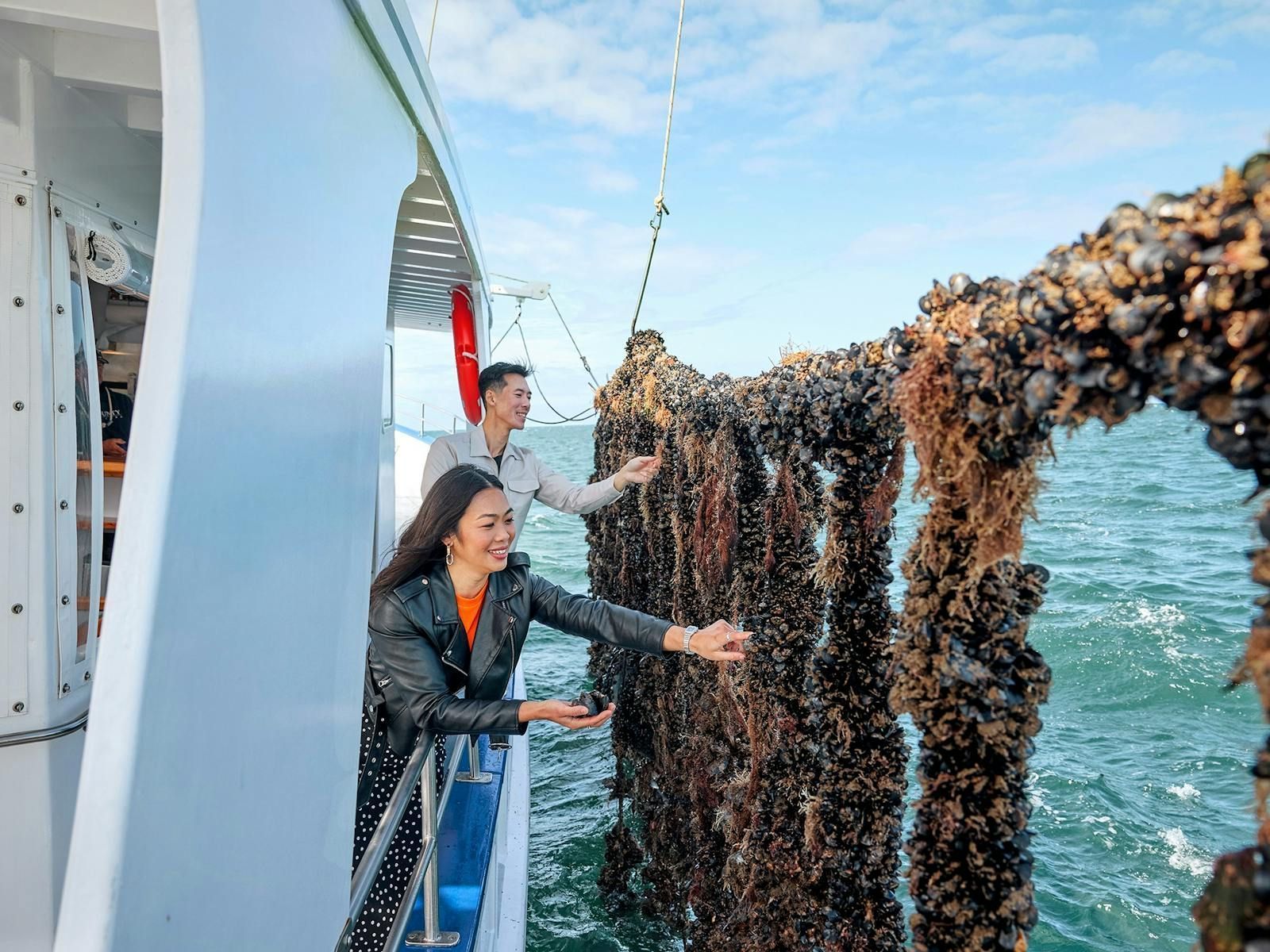 Two people on a boat inspect a rope covered in shellfish beside the sea