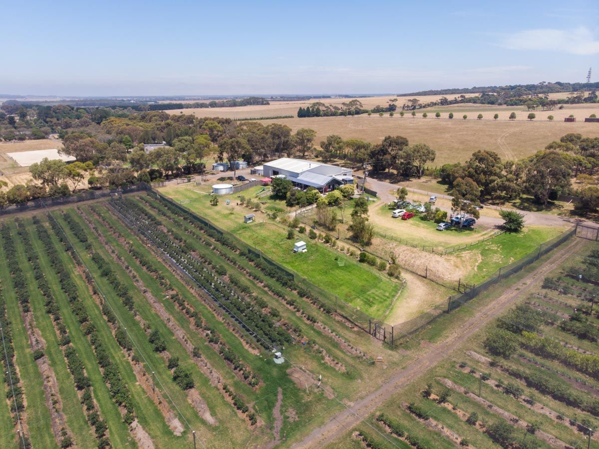 Aerial view of a rural farm with crop rows, a farmhouse, and trees beside open fields.