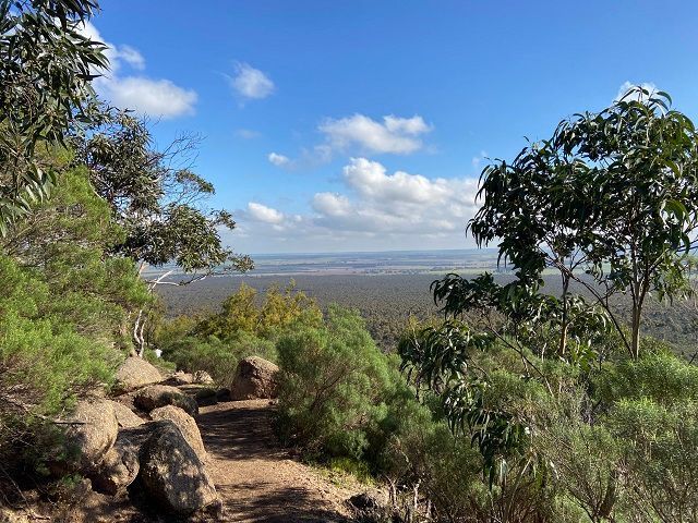 Rocky trail through green shrubs and trees overlooking a wide valley under a blue sky