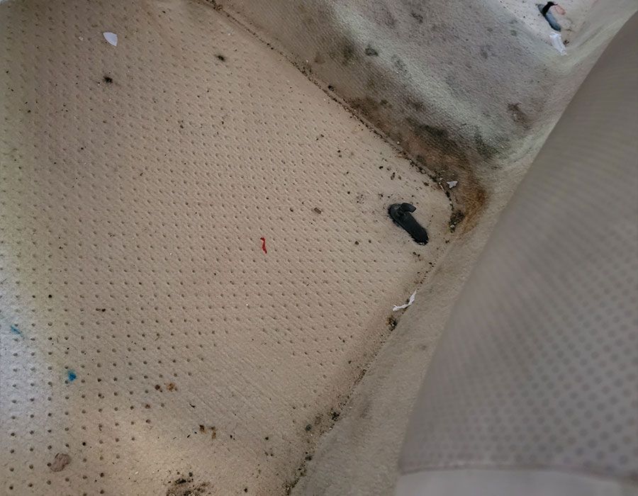A close up of a dirty carpet with holes in it