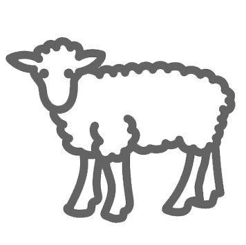 icon lamm