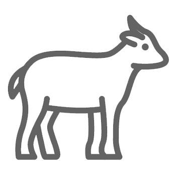 icon ziege
