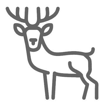 icon hirsch