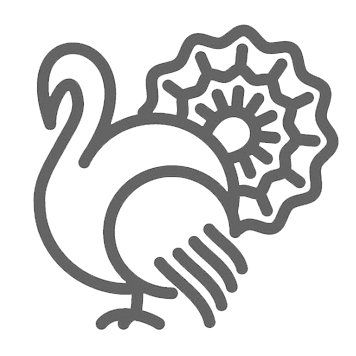 icon truthahn