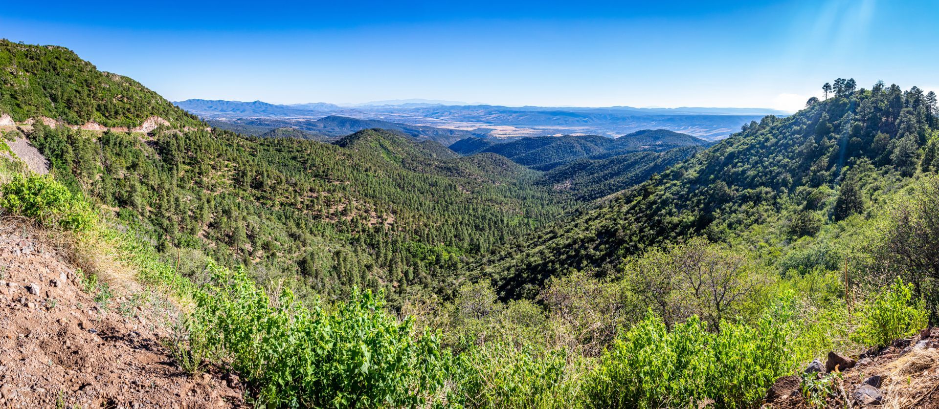 Panoramic view of lush green forested mountains under a clear blue sky