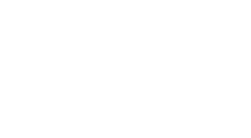 At pro logo blanc