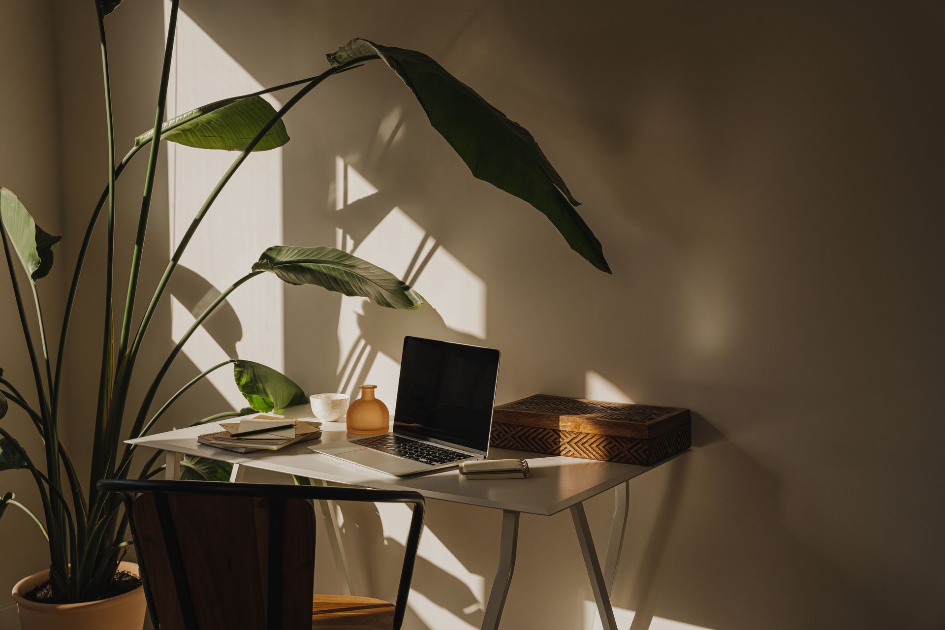 Newly painted office with a calm tone.