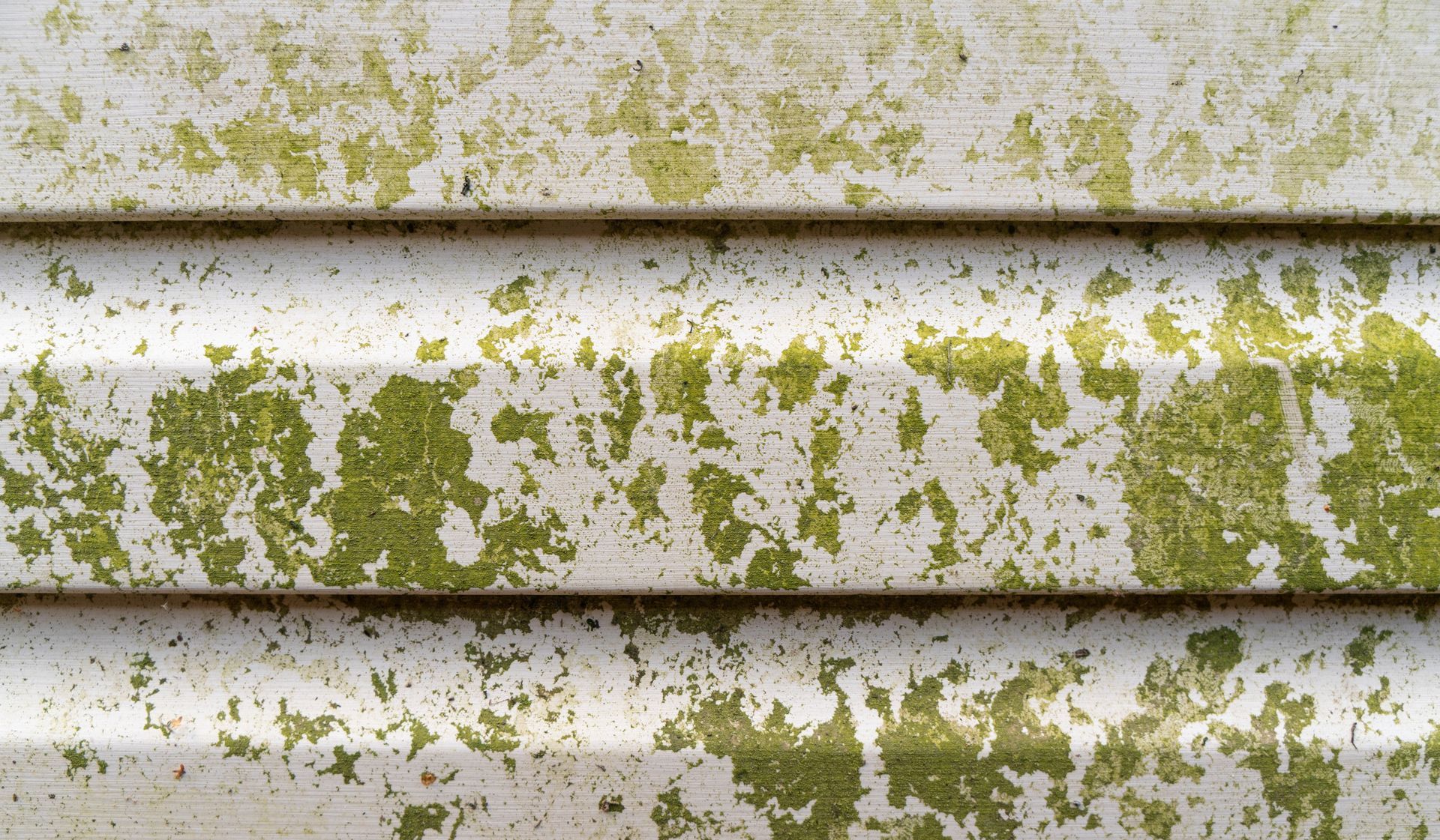 mildew on siding