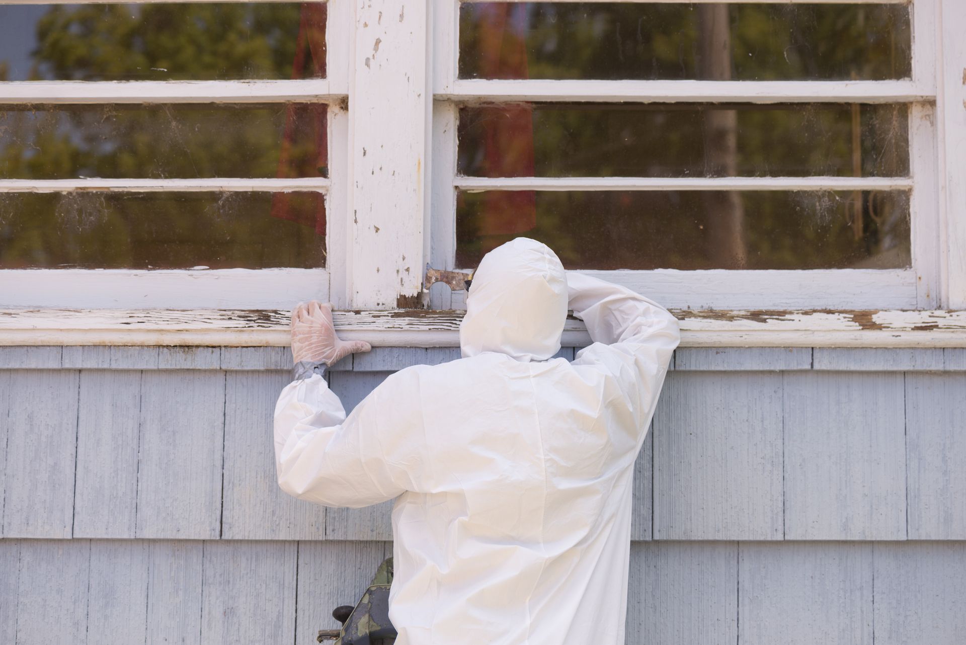 mold being removed before painting