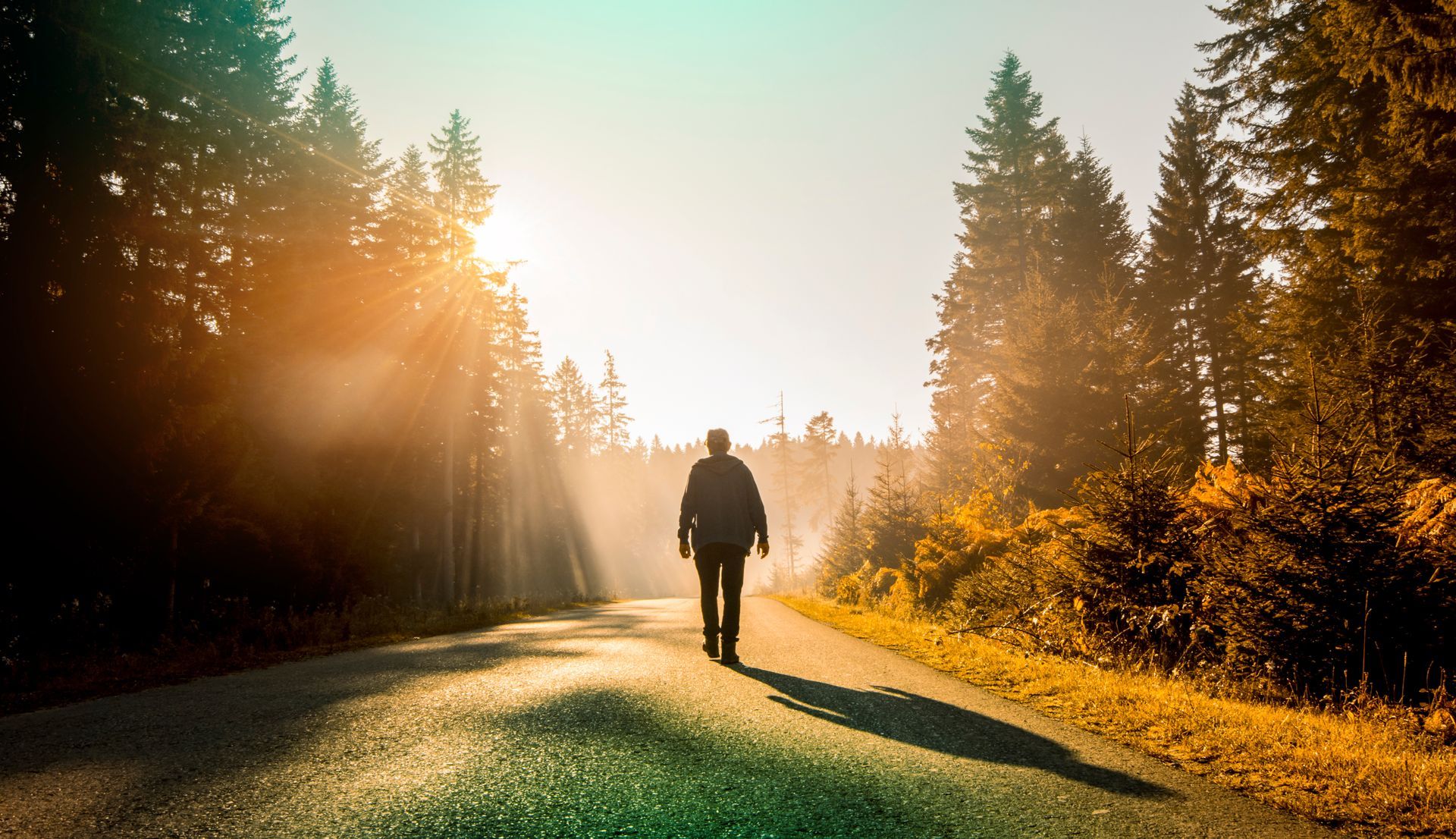 Eine Person, die bei Sonnenaufgang auf einem sonnenbeschienenen Waldweg spaziert
