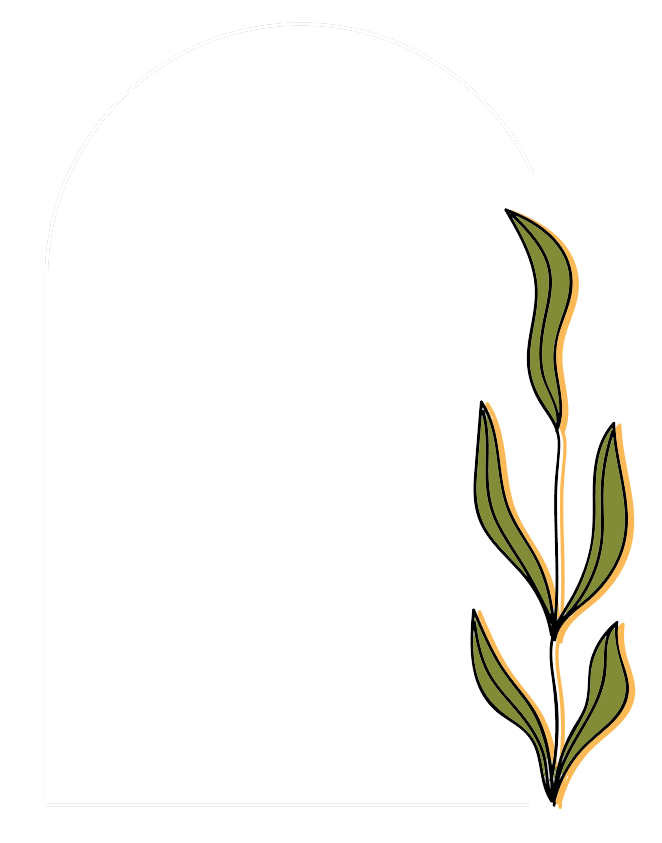 Yankee Attic Yankee Attic