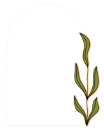Yankee Attic Yankee Attic
