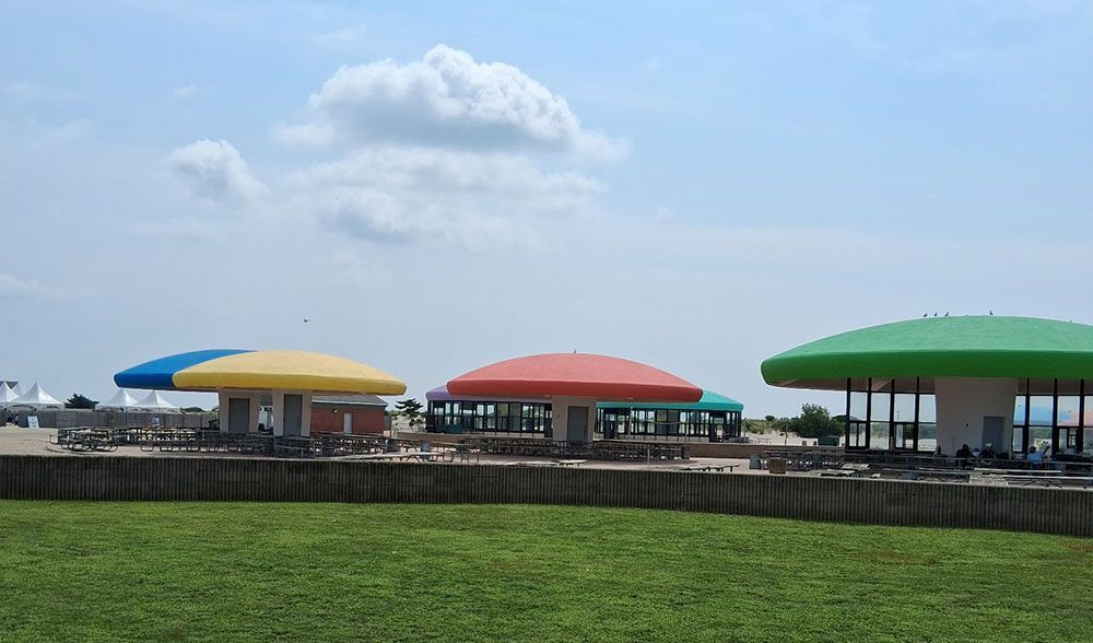 The mushrooms at Lido Beach