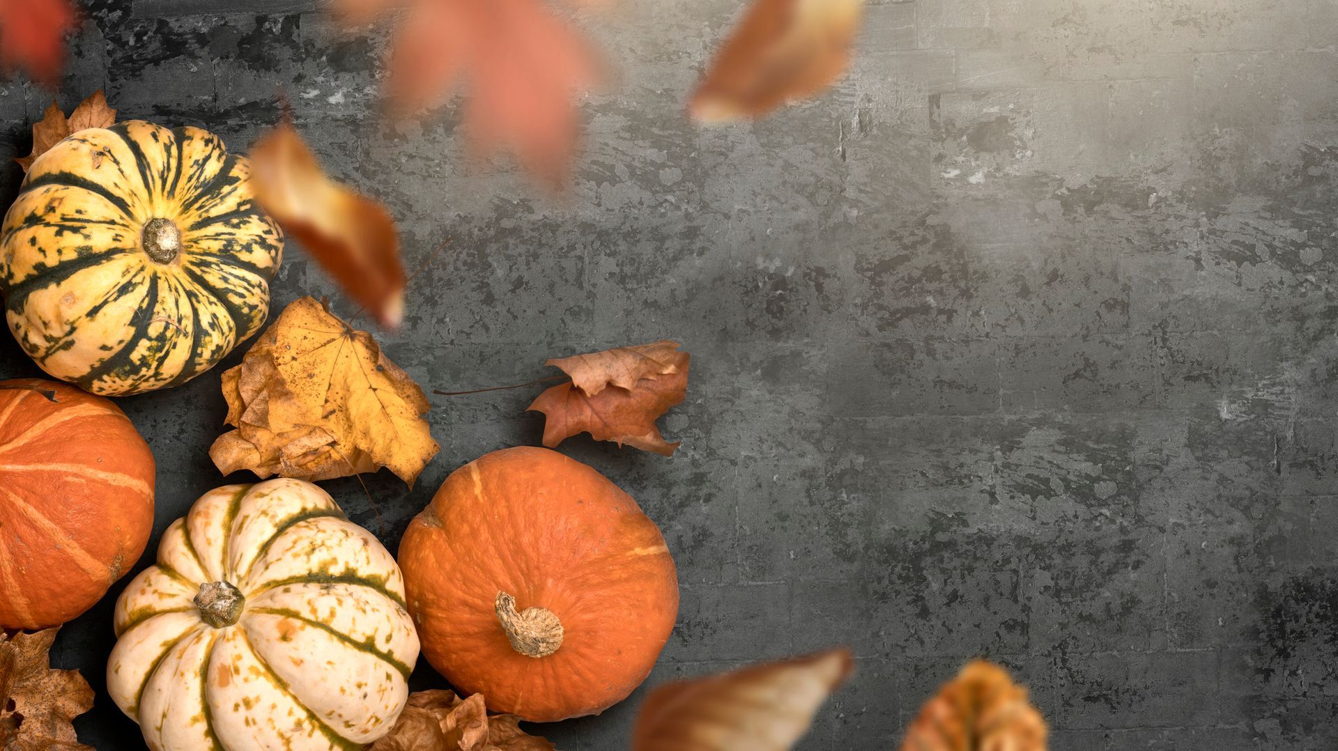 Halloween And Thanksgiving Pumpkin