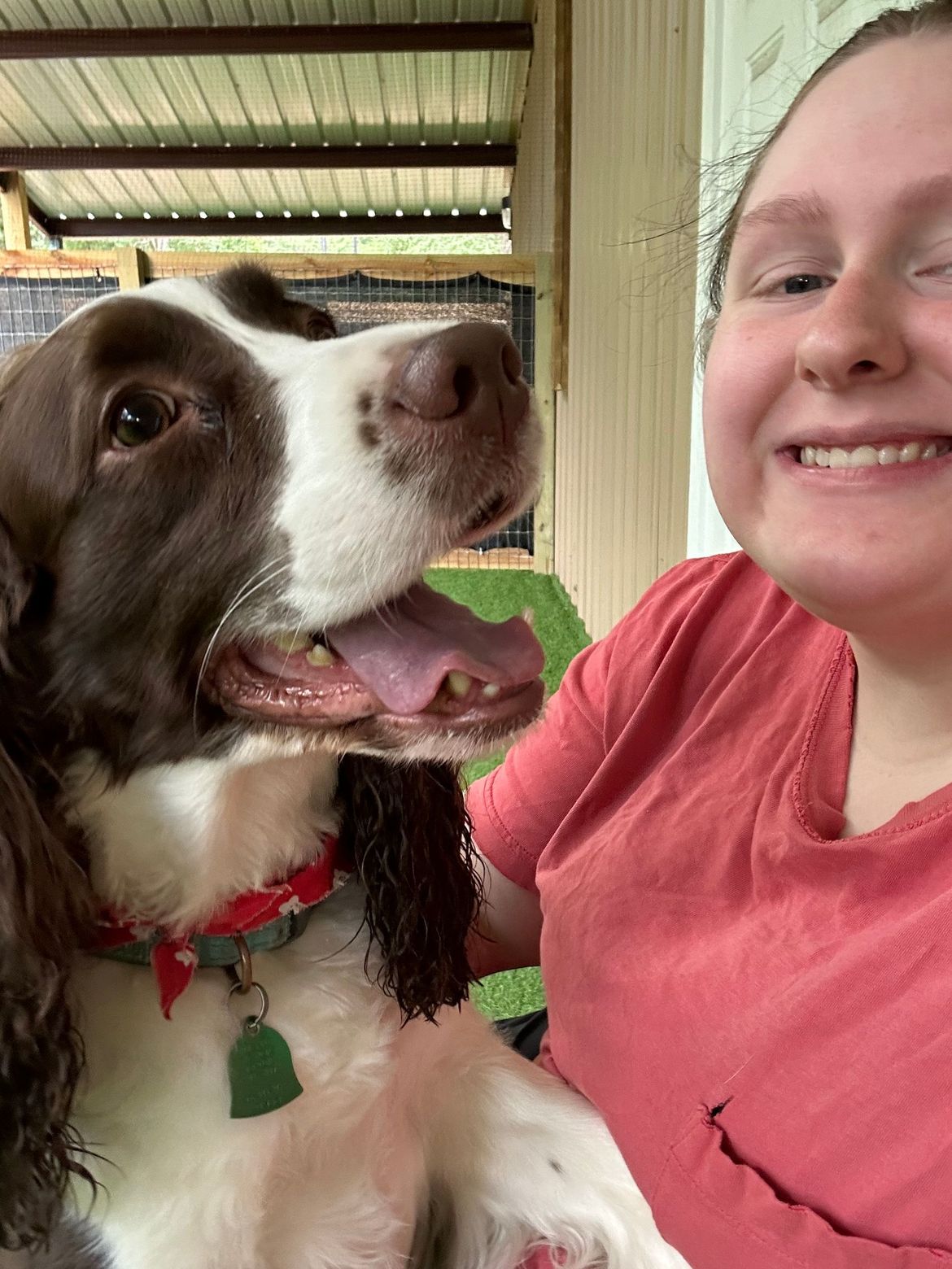 A woman is holding a brown and white dog in her arms.