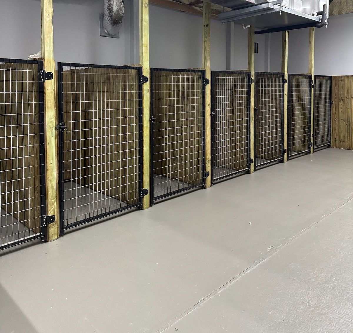 A row of dog kennels are lined up in a room.