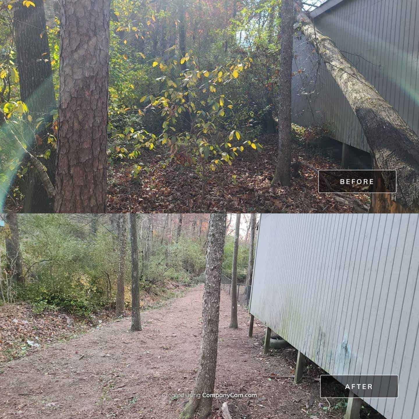 Brush Clearing and Removal in Chattanooga, Tennessee