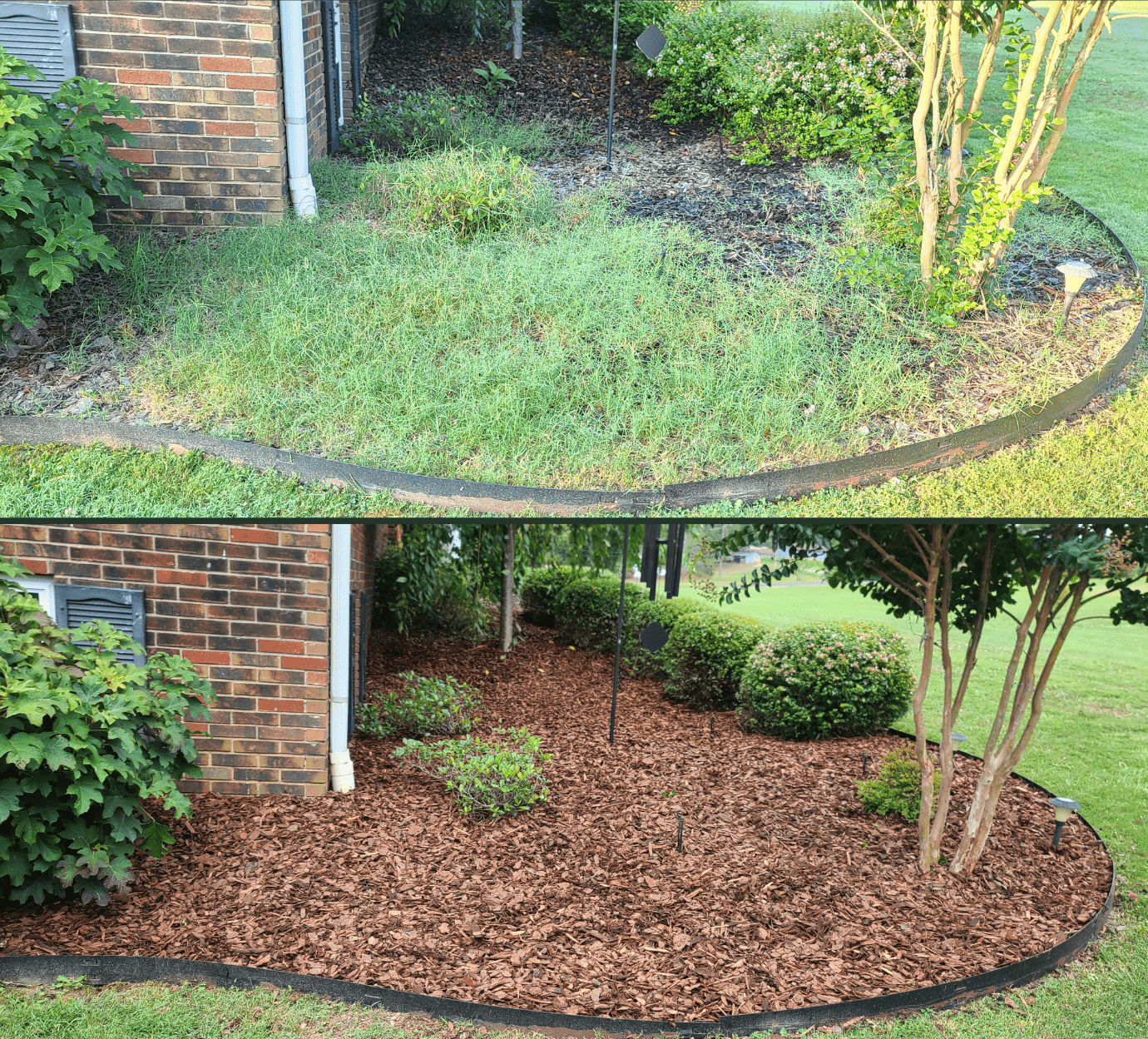 Weed Control Services in Chattanooga, Tennessee