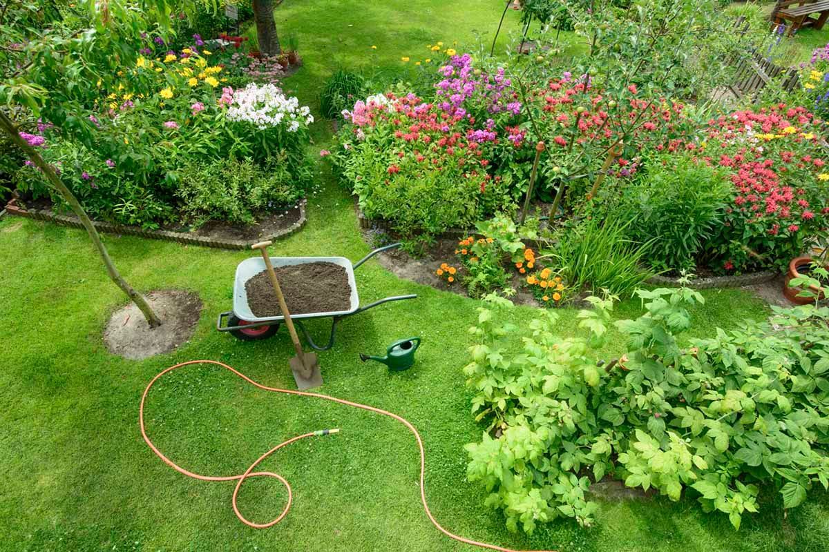 A diverse garden in the spotlight after landscaping in Chattanooga. 
