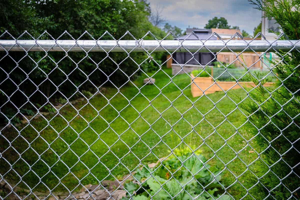 A person is watering plants with a hose in a garden.