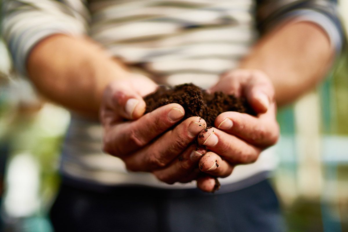 A man is holding a pile of dirt in his hands.